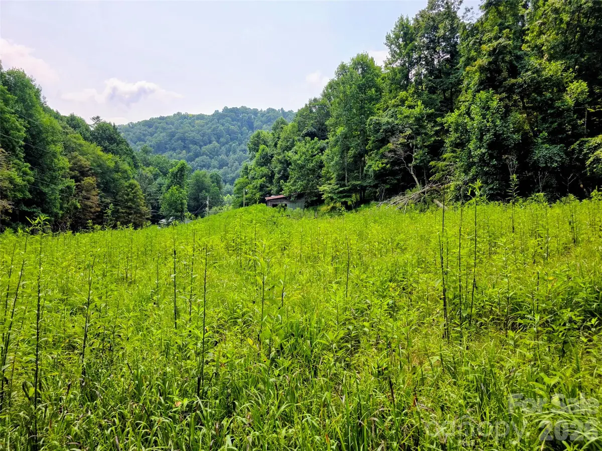 98 Will Wilson Road, Burnsville, NC 28714 - #1