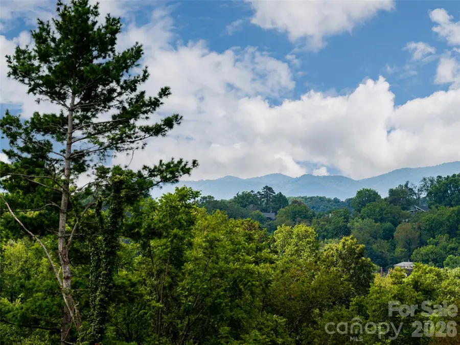 309 Ava Lane, Asheville, NC 28804 - #2