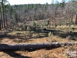 2072 Snowmass Drive #36, Connelly Springs, NC 28612
