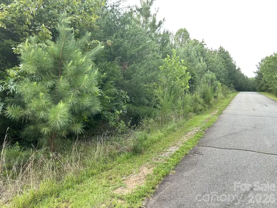 00 Cross Creek Drive #277, Rutherfordton, NC 28139 - #2
