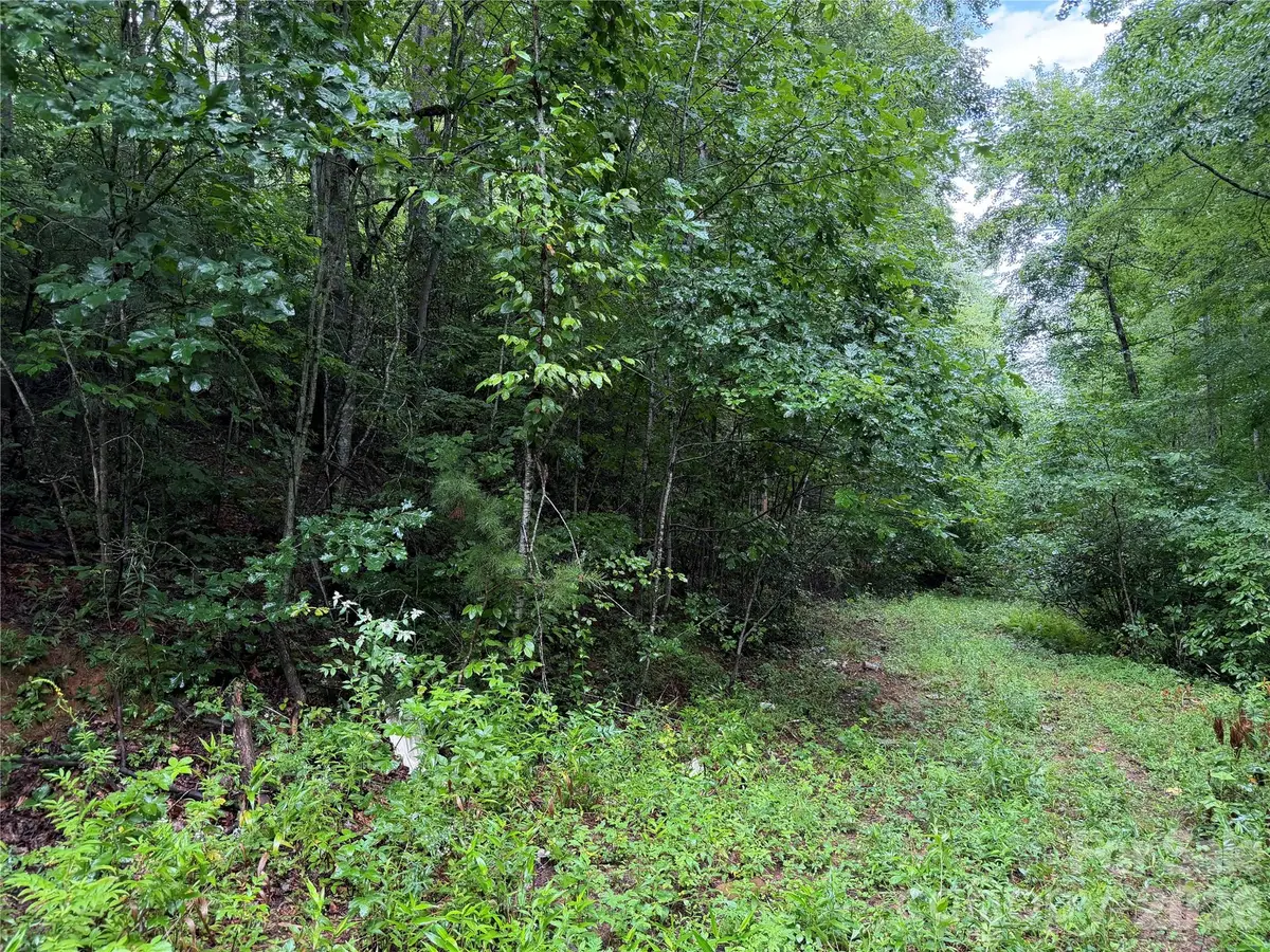 Off Donald Mccall Road, Balsam Grove, NC 28708 - #1