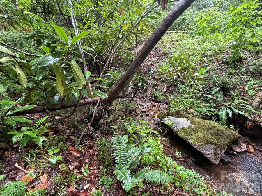 Off Donald Mccall Road, Balsam Grove, NC 28708 - #3