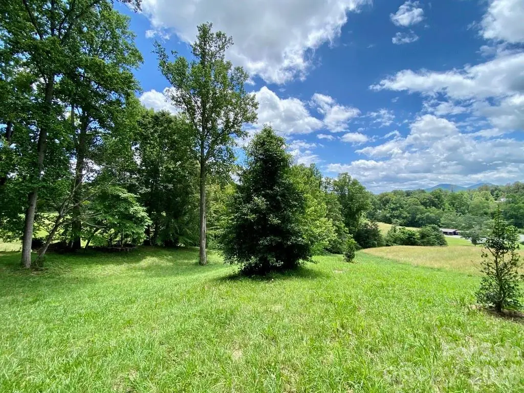 48 Sweet Fern Parkway #59, Asheville, NC 28804 - #1