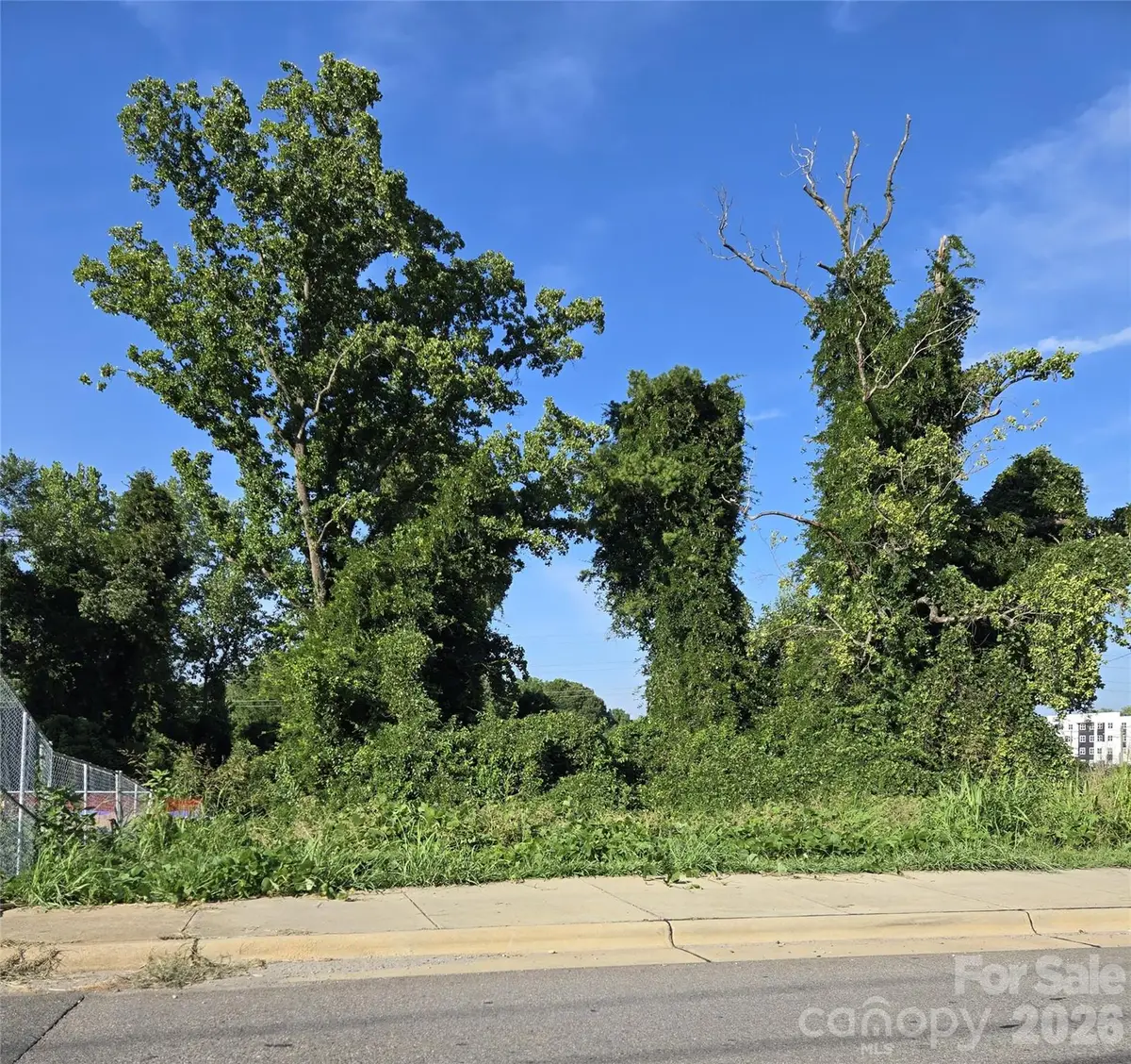 204 W 28th Street, Charlotte, NC 28206 - #1