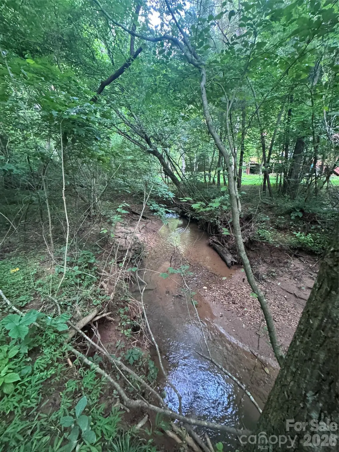 0 Clearwater Parkway #203, Rutherfordton, NC 28139 - #1