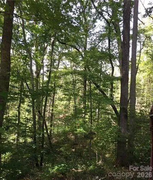 Lot 25 Bluebird Terrace, Lake Lure, NC 28746 - #1