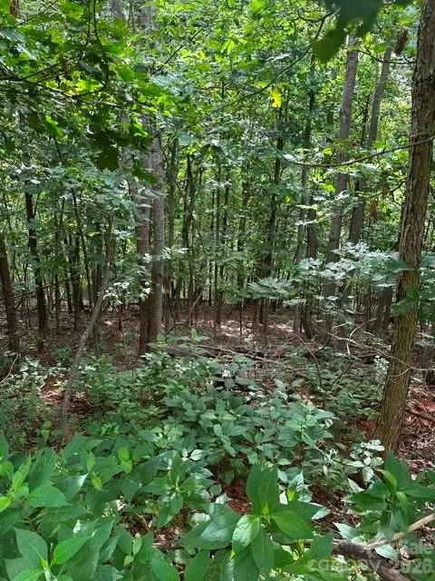 0 Cove Gap Road #1, Moravian Falls, NC 28654