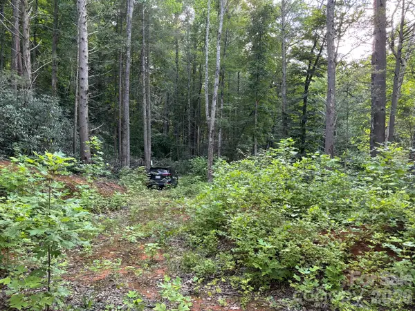Lot 41 Peace Wood Lane #41, Hendersonville, NC 28792