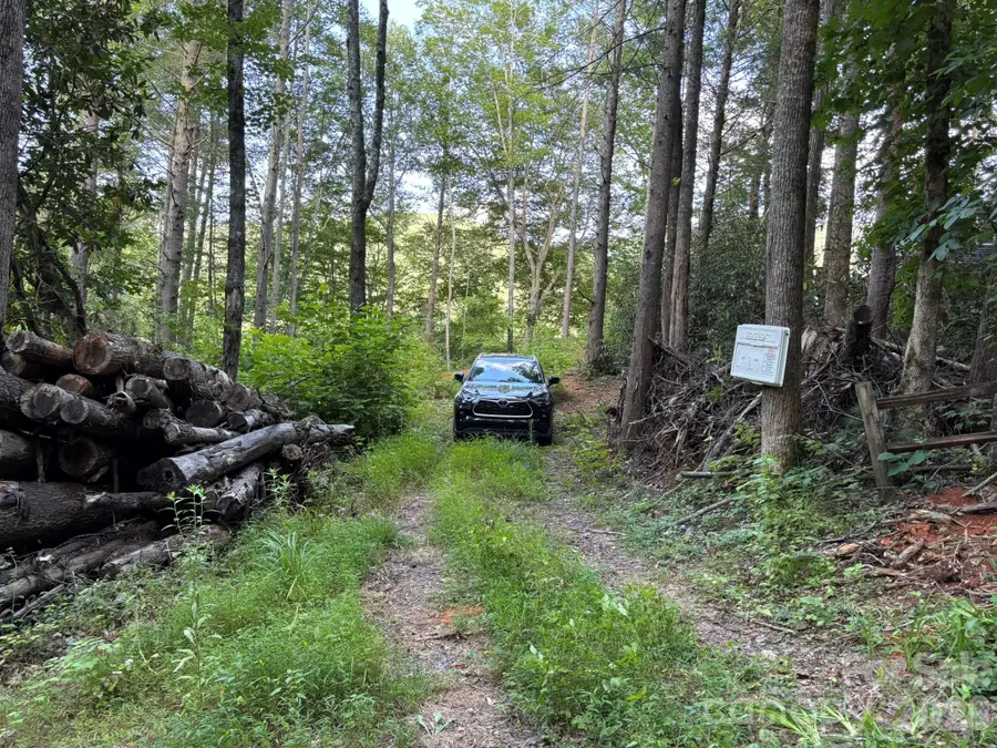 Lot 41 Peace Wood Lane #41, Hendersonville, NC 28792 - #3
