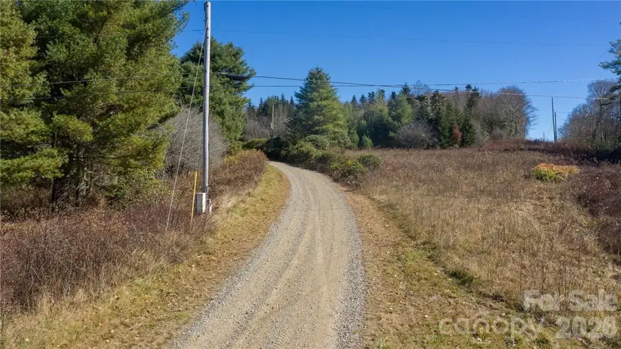 197 Eagle Bald Trail #Lot 34, Burnsville, NC 28714 - #2