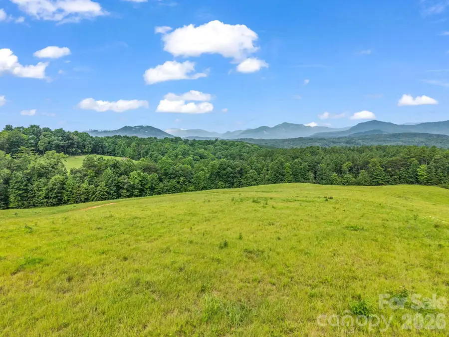 1054 Rainbow Rapids Road, Rutherfordton, NC 28139 - #3