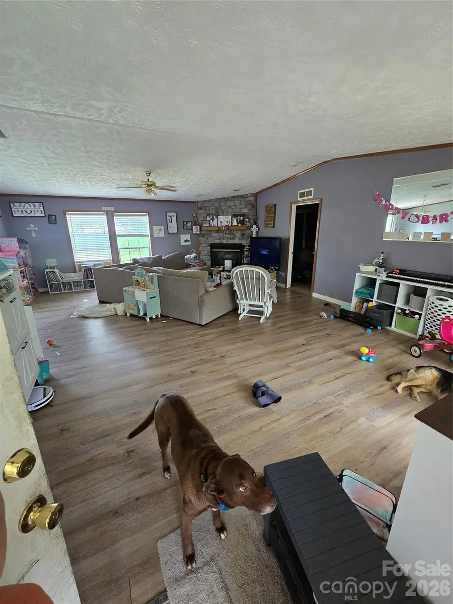 76 Angie Lane, Mills River, NC 28759 - #3