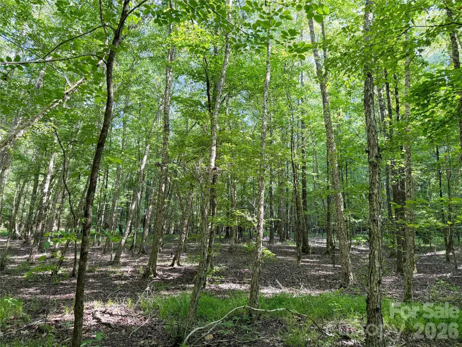 6244 Oakridge Road, Lake Wylie, SC 29710 - #2