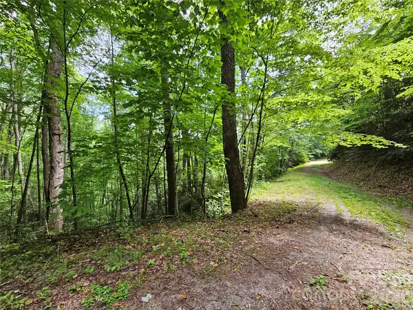 00 Autumn Drive #2, Waynesville, NC 28785