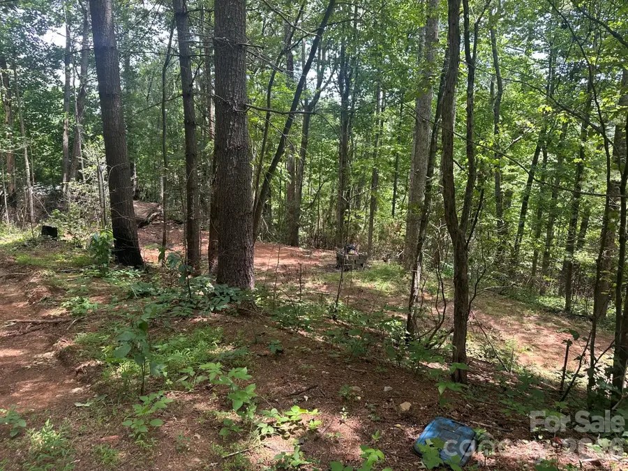 210/240 Gobbler Circle #19/21, Horse Shoe, NC 28742 - #2