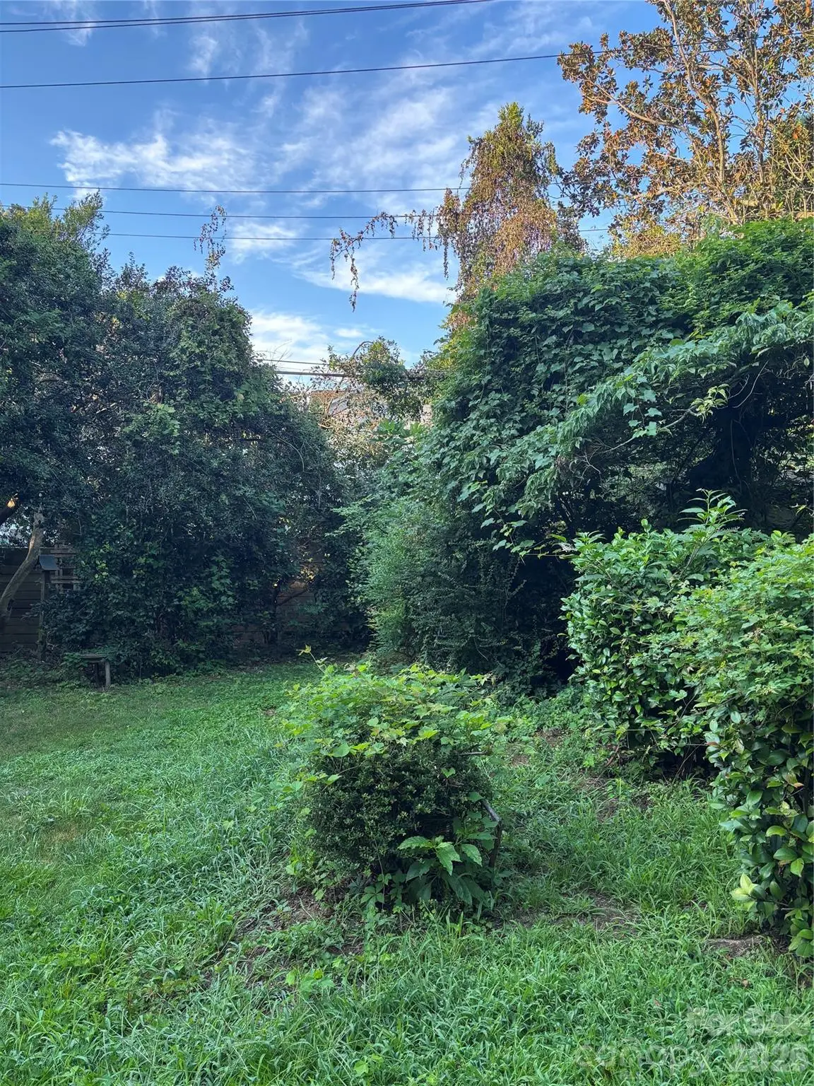 228 Cottage Place, Charlotte, NC 28207 - #1