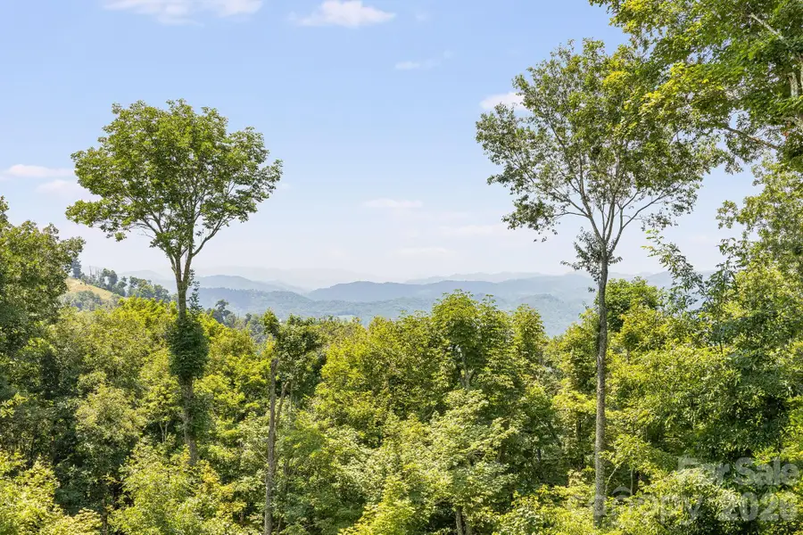 129 Finney Lane, Mars Hill, NC 28754 - #3