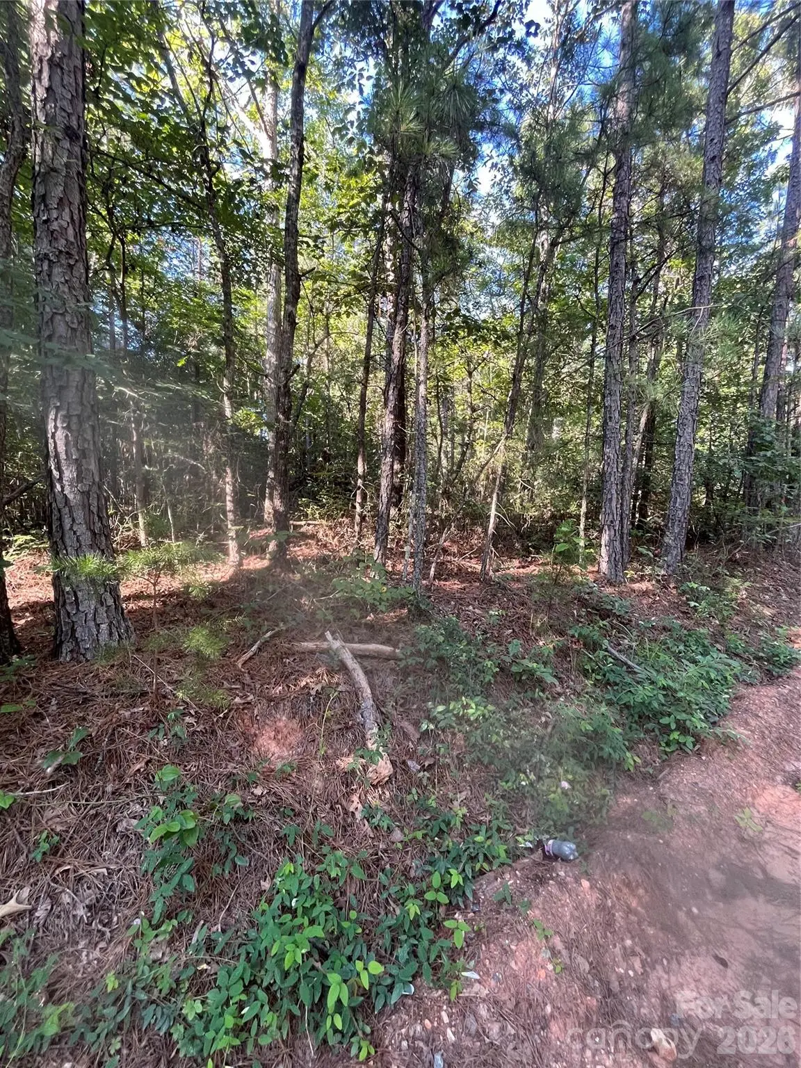 0 Ore Bank Road #4, Smyrna, SC 29743 - #1