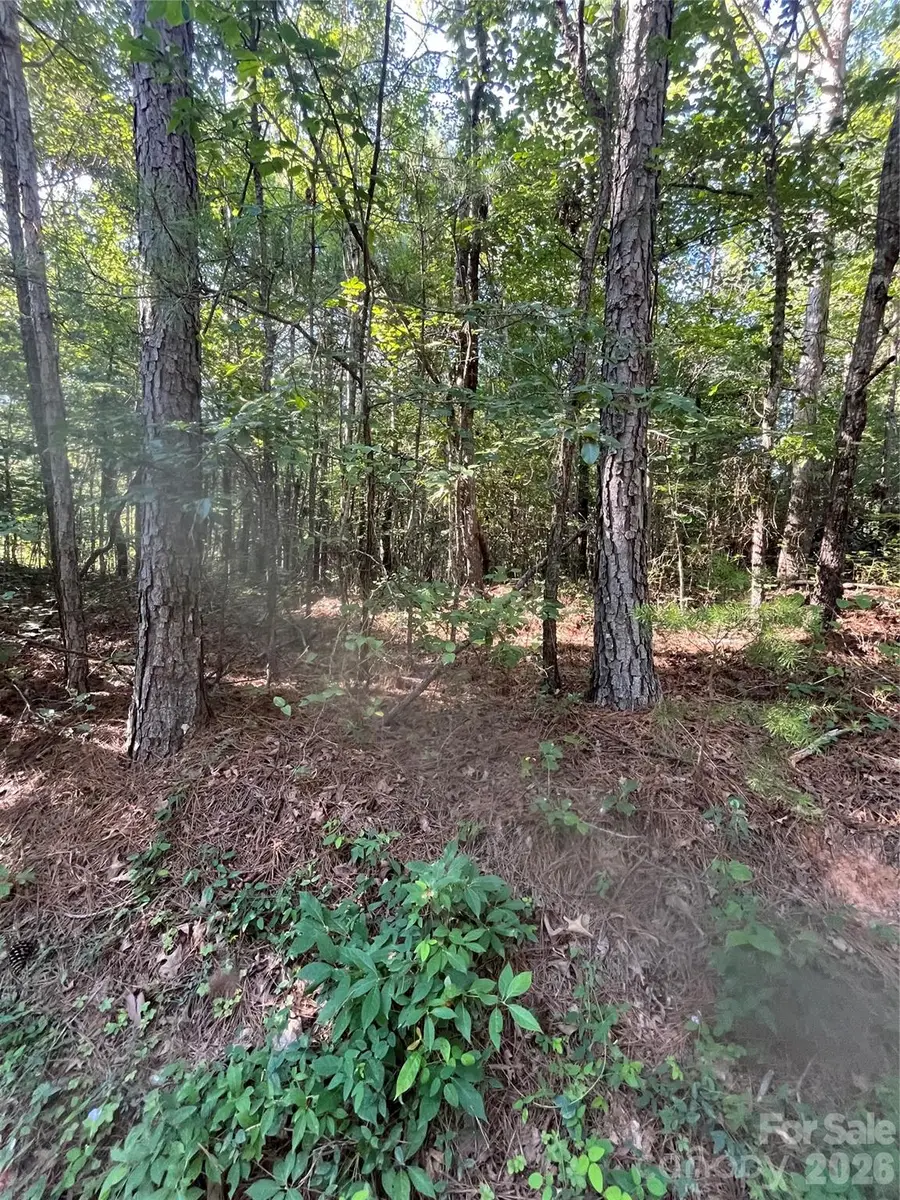 0 Ore Bank Road #4, Smyrna, SC 29743 - #2
