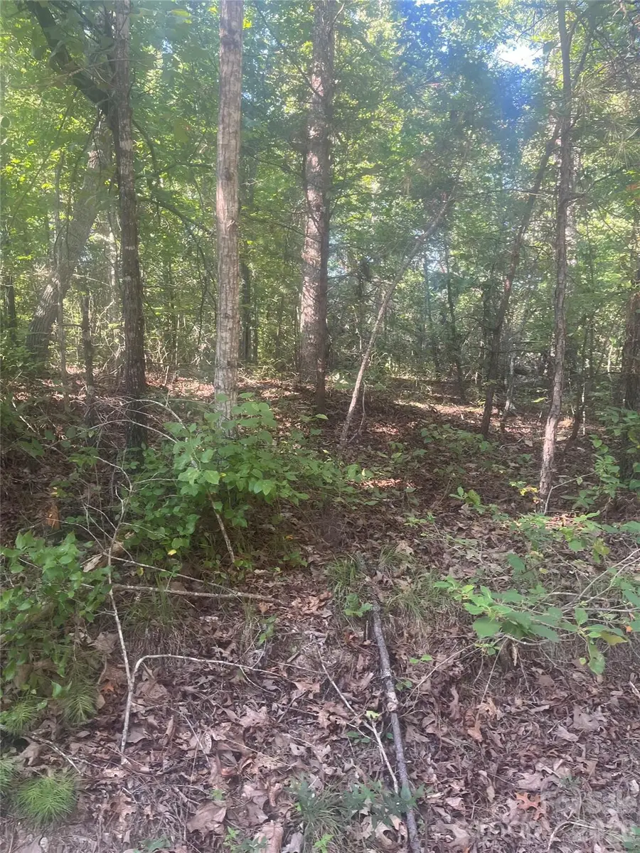 0 Ore Bank Road #4, Smyrna, SC 29743 - #3