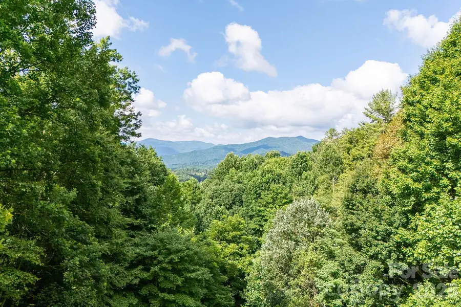 125 Hyacinth Drive, Clyde, NC 28721 - #2