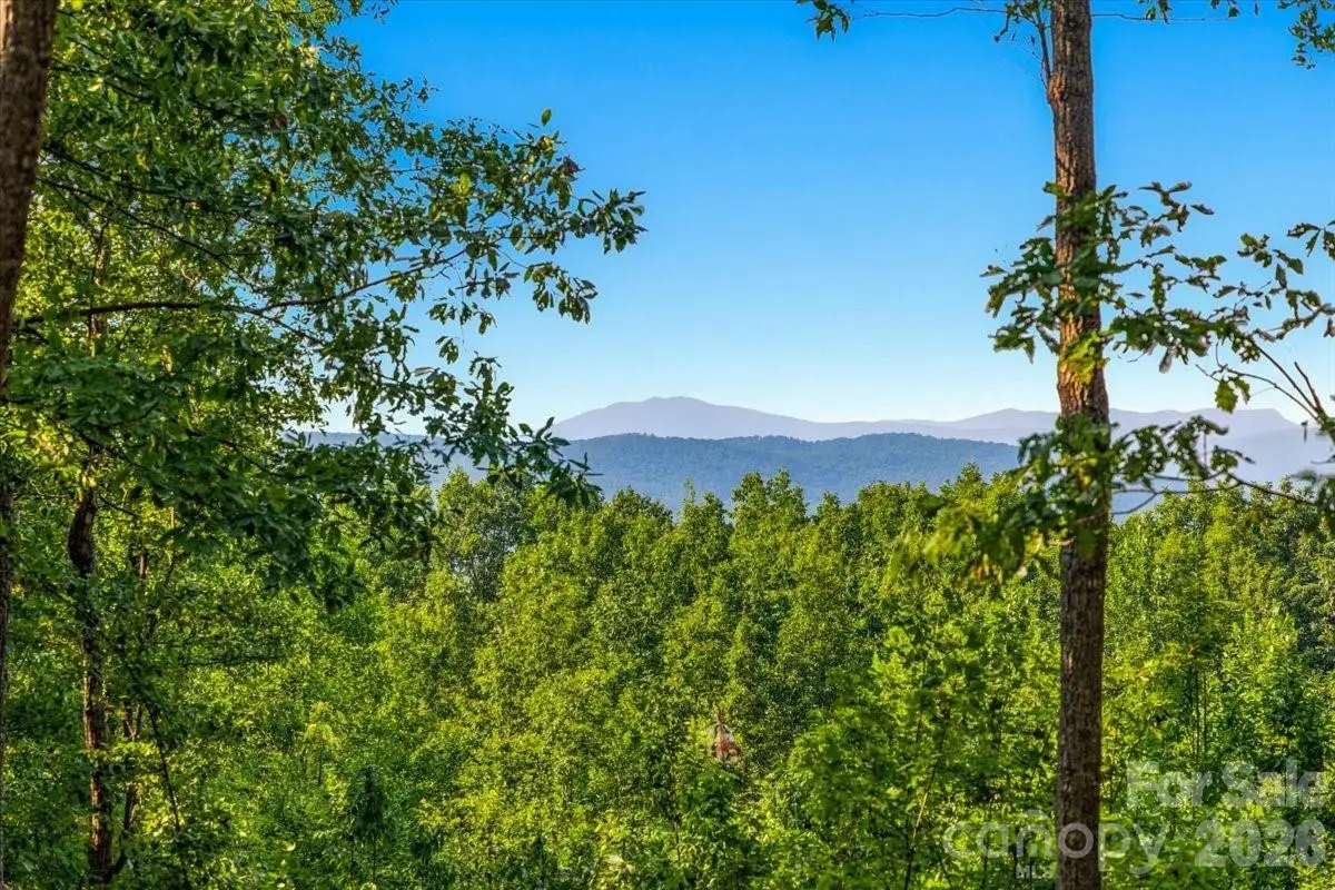 207 Mossy Oak Trail #166, Nebo, NC 28761 - #1