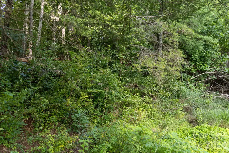 920 Mills Gap Road, Fletcher, NC 28732 - #3
