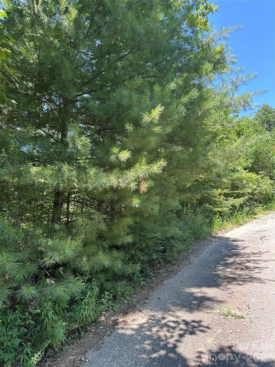 3960 Winston Drive, Morganton, NC 28655 - #2