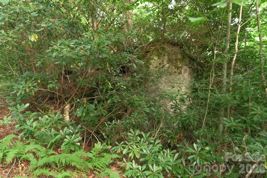 Lot 17R Kilkenney None, Boone, NC 28607 - #3