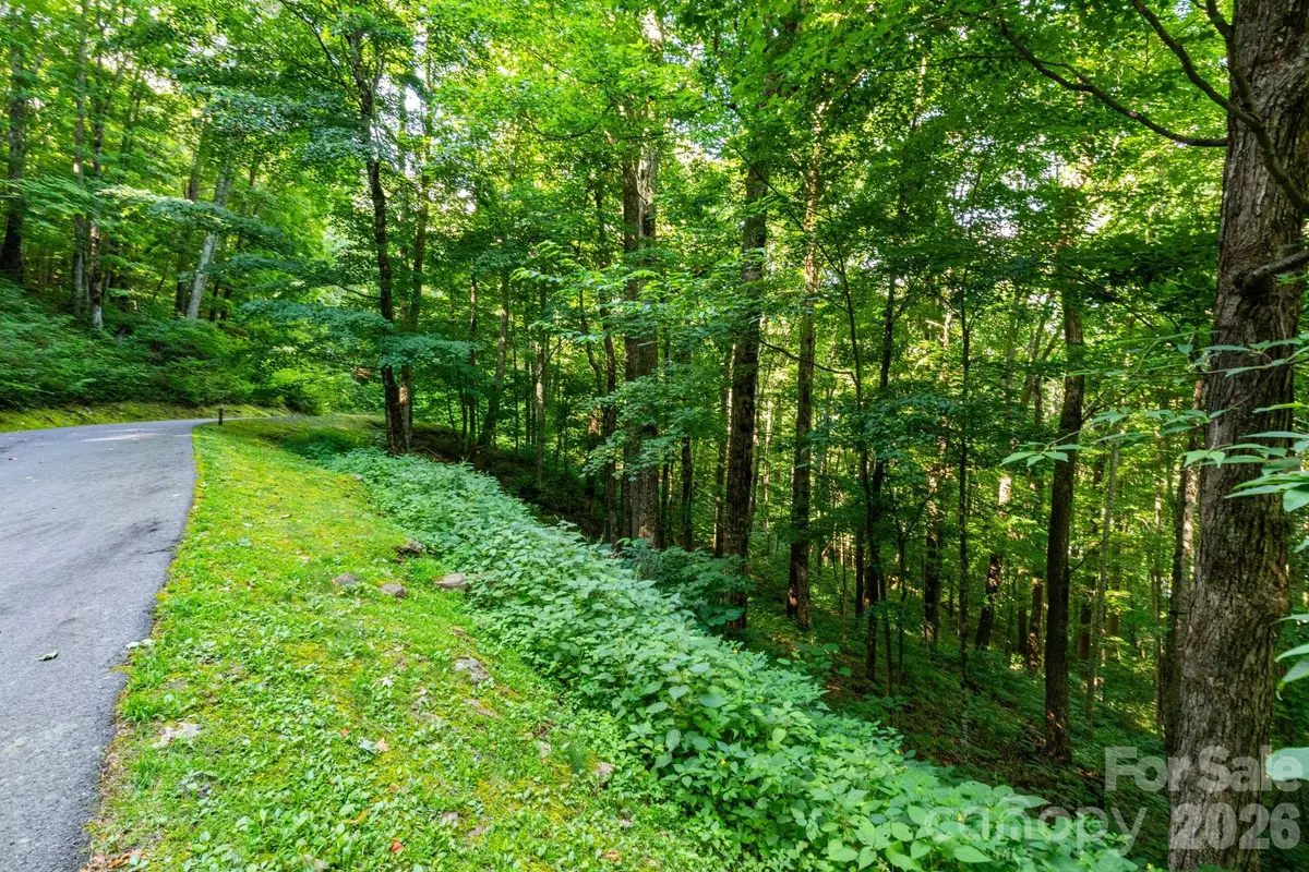 Lot 25 Finlaystone Trace #25, Waynesville, NC 28786 - #1