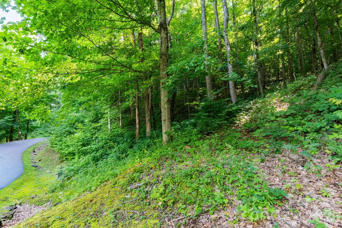 Lot 30 Finlaystone Trace #30, Waynesville, NC 28786 - #1