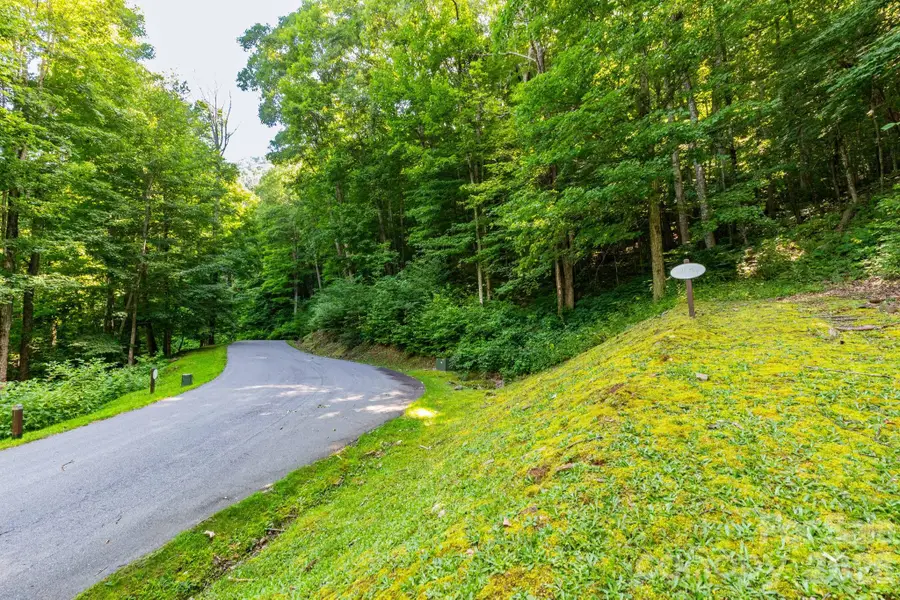 Lot 30 Finlaystone Trace #30, Waynesville, NC 28786 - #2