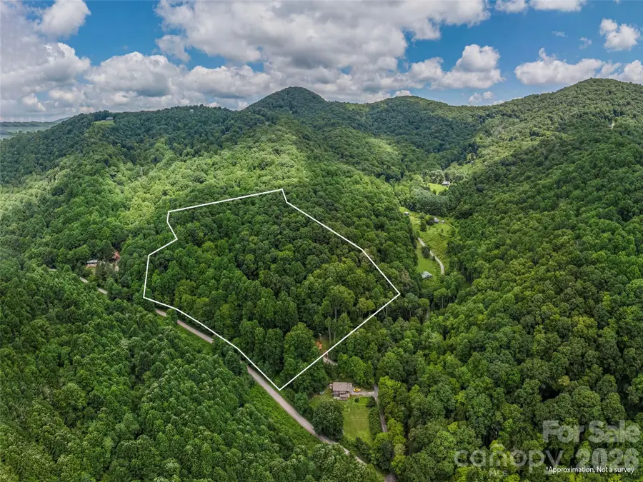 0 Rough Knob Road, Clyde, NC 28721 - #2