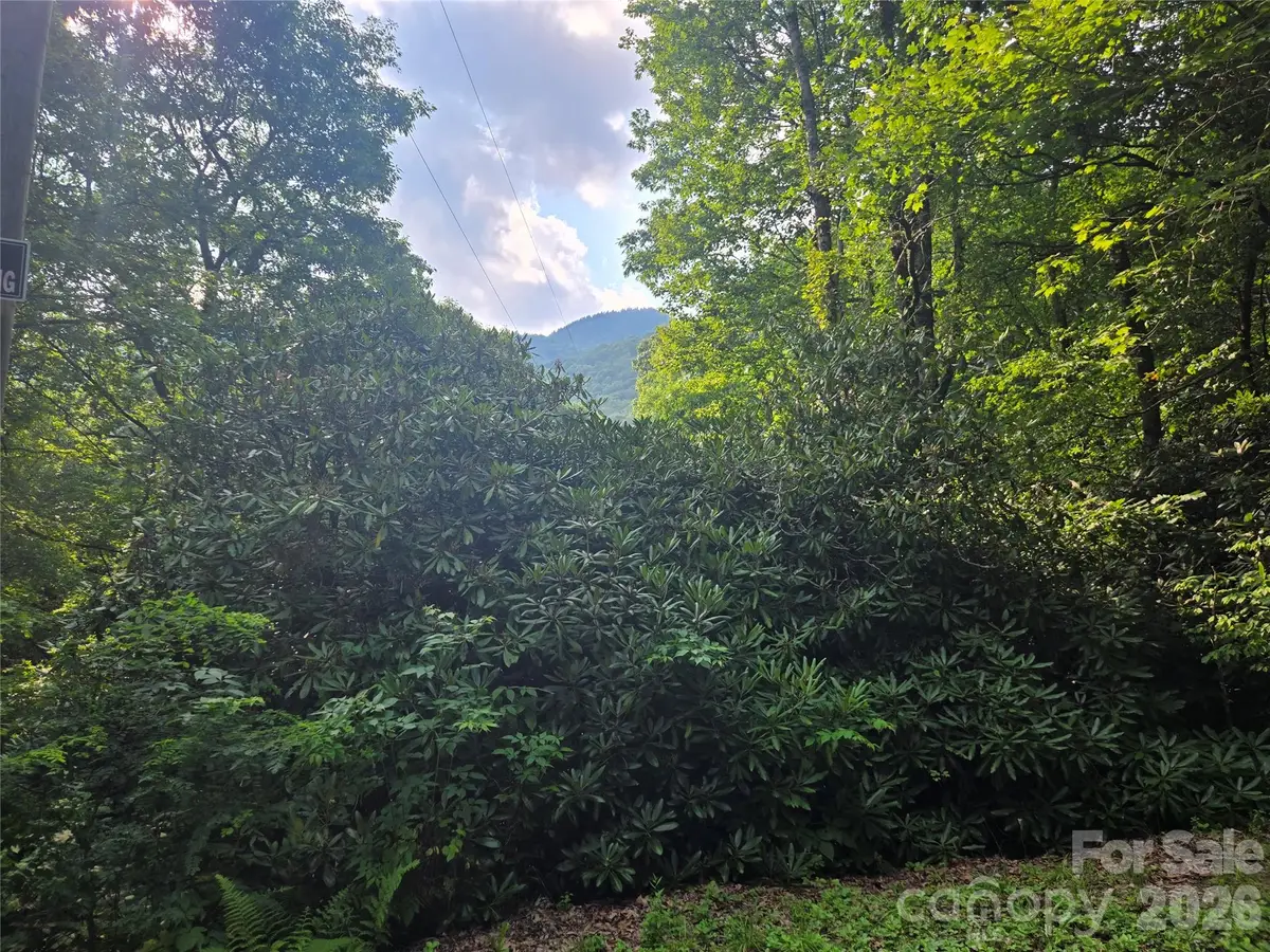 000 Greenspire Drive, Sylva, NC 28779 - #1