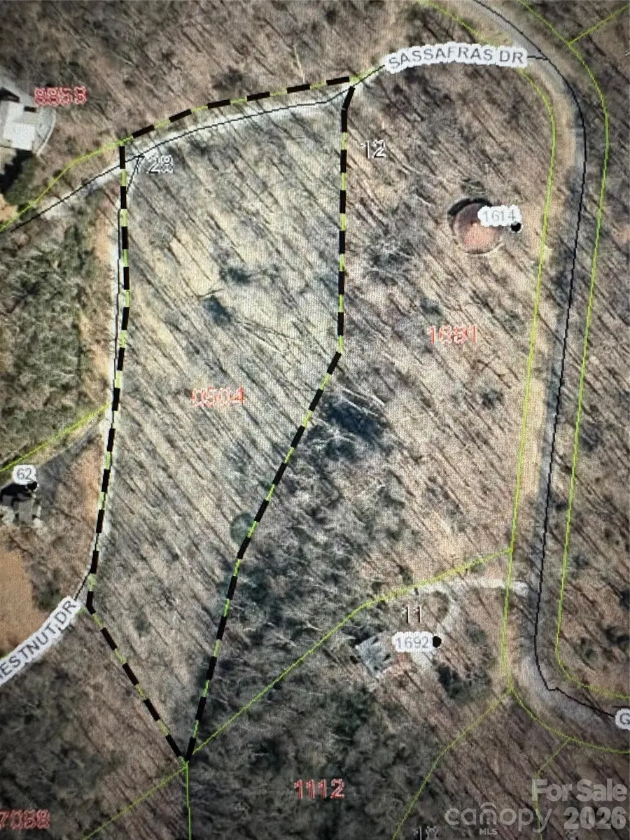 999 Sassafras Drive #728, Old Fort, NC 28762 - #3
