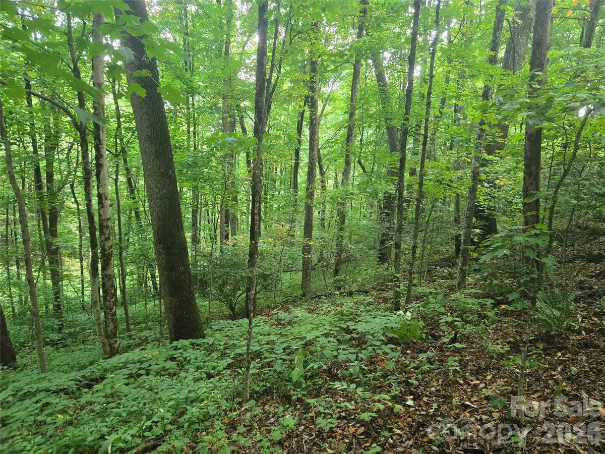 000 Rosemount Road, Sylva, NC 28779 - #1