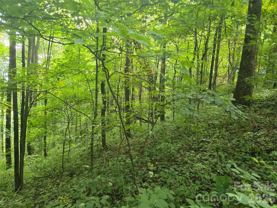 000 Rosemount Road, Sylva, NC 28779 - #2