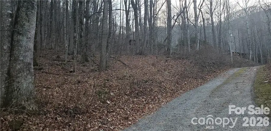 36 Miner Road, Waynesville, NC 28785 - #3