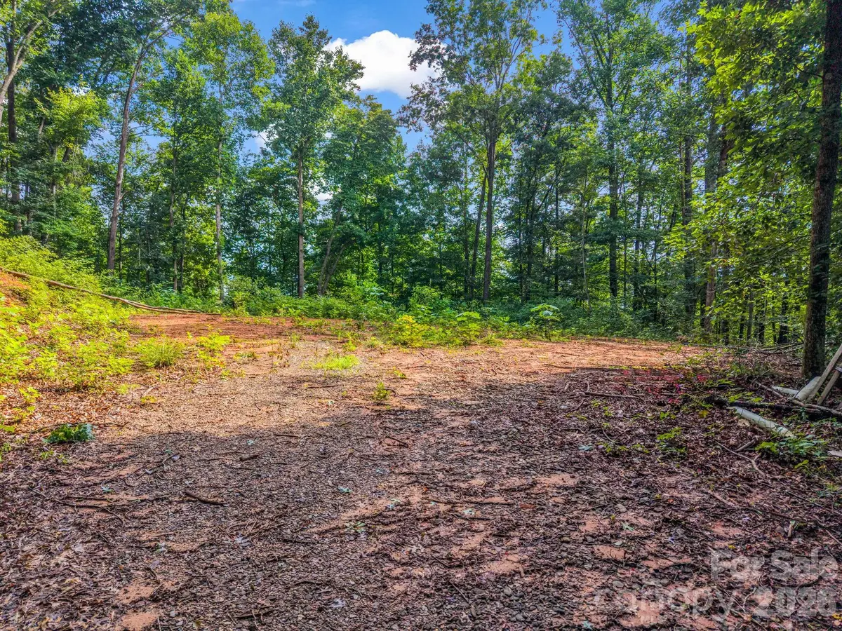 00 Patton Cove Road #6, Swannanoa, NC 28778 - #1