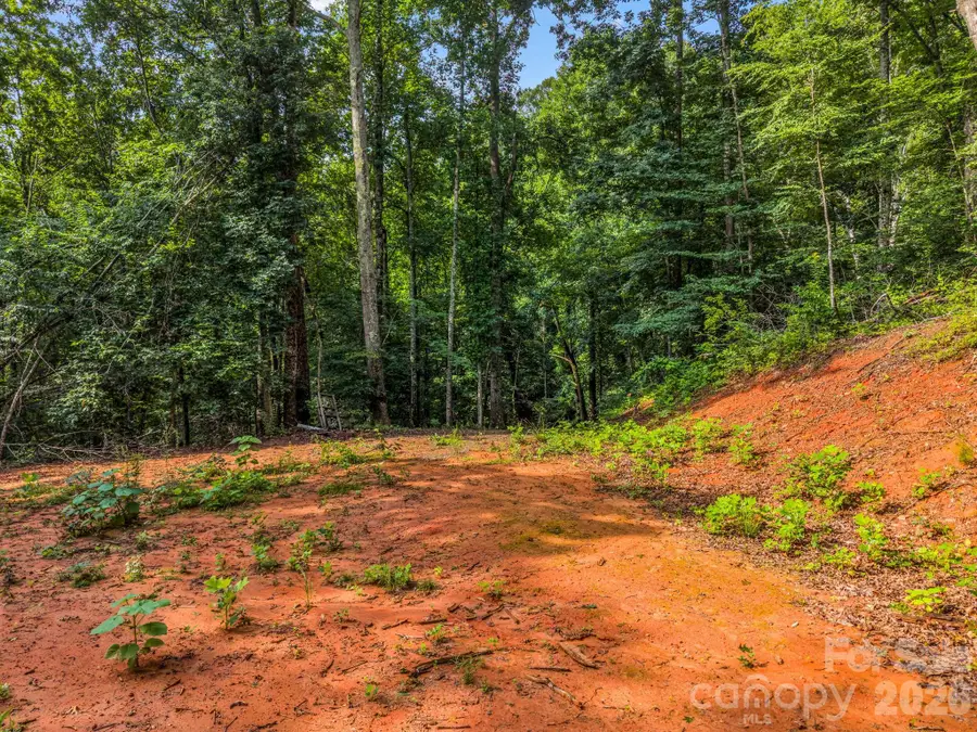 00 Patton Cove Road #6, Swannanoa, NC 28778 - #2