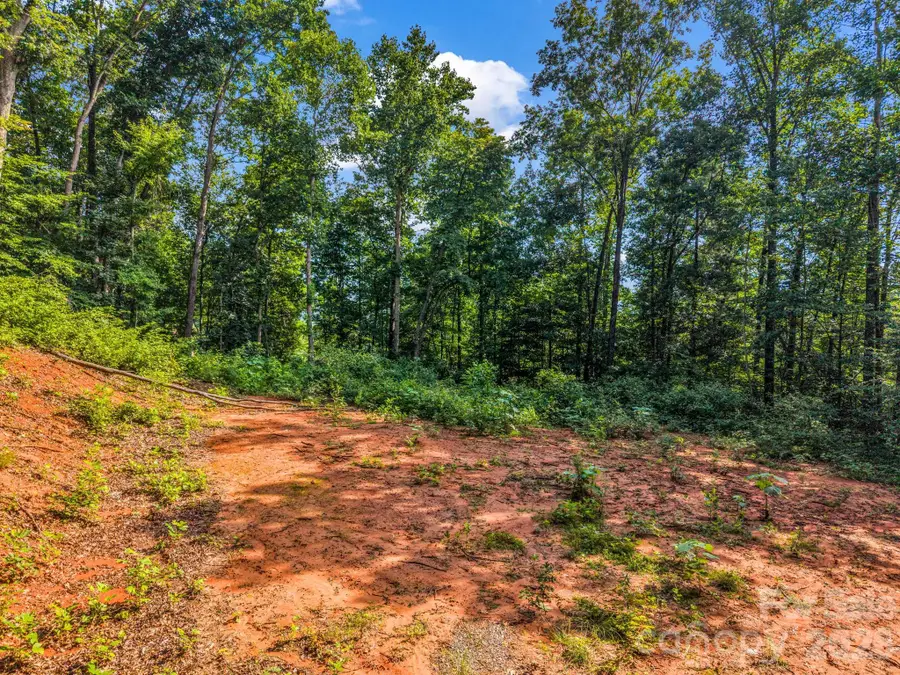 00 Patton Cove Road #6, Swannanoa, NC 28778 - #3