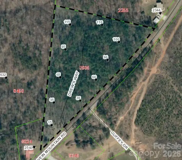 tbd Vein Mountain Way #1, Dysartsville, NC 28761 - #1