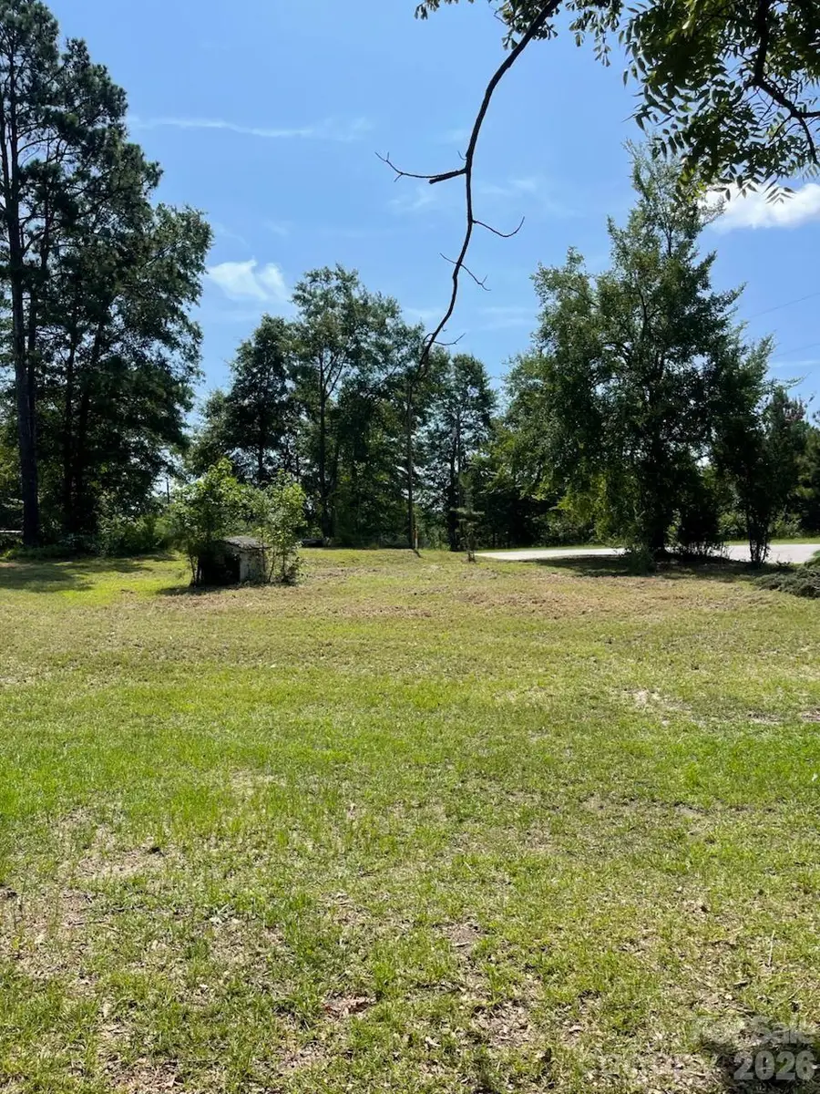 403 Clark Street, Pageland, SC 29728 - #2