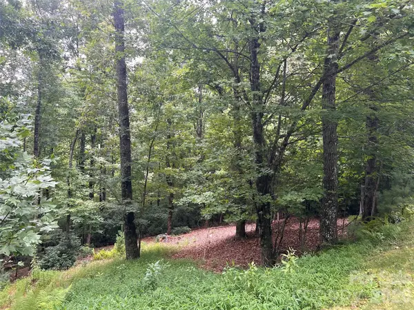 211 Tom Fazio Trace #342, Hendersonville, NC 28739