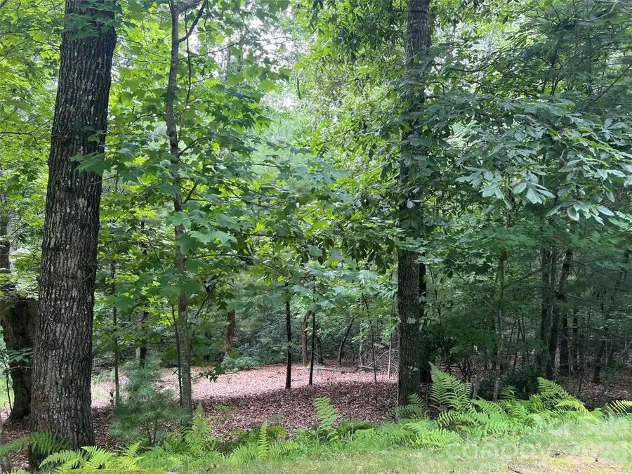 211 Tom Fazio Trace #342, Hendersonville, NC 28739 - #2