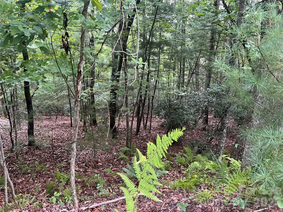 211 Tom Fazio Trace #342, Hendersonville, NC 28739 - #3
