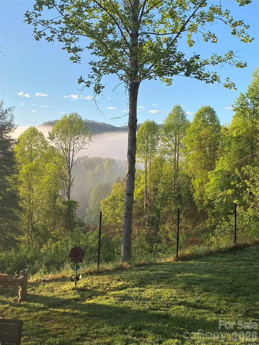 152 Worley Cove Road, Leicester, NC 28748 - #3