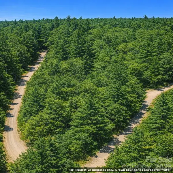 Lot 124 Trellis Drive, Nebo, NC 28761