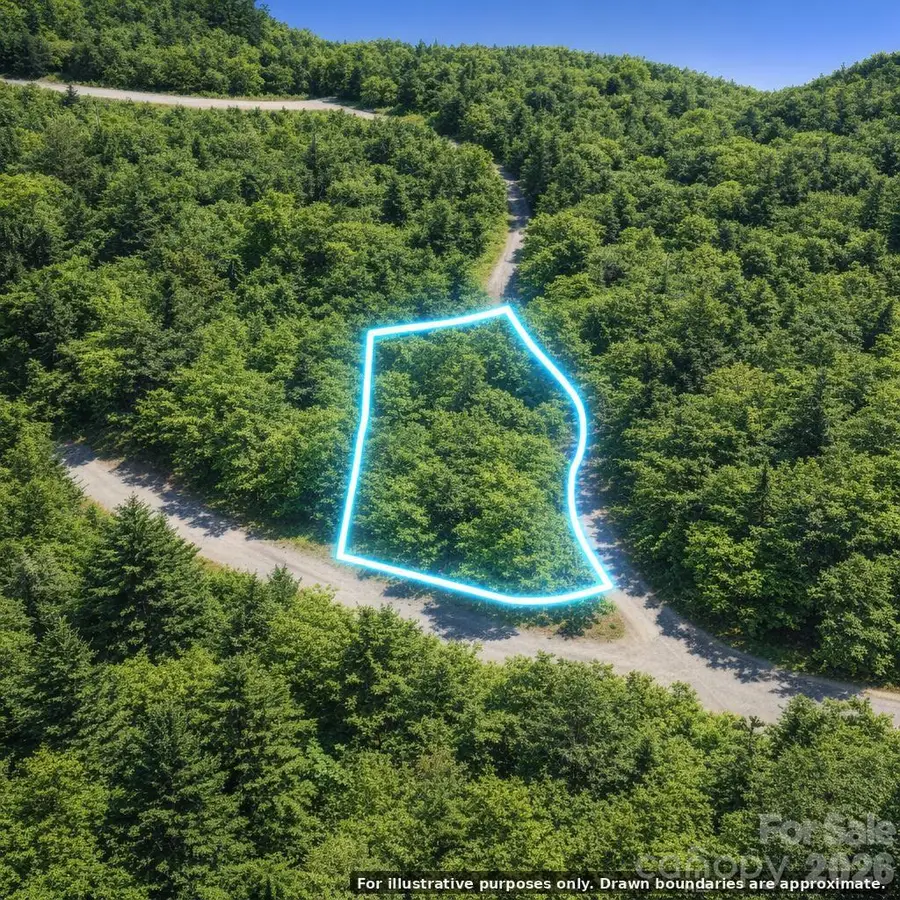 Lot 124 Trellis Drive, Nebo, NC 28761 - #3