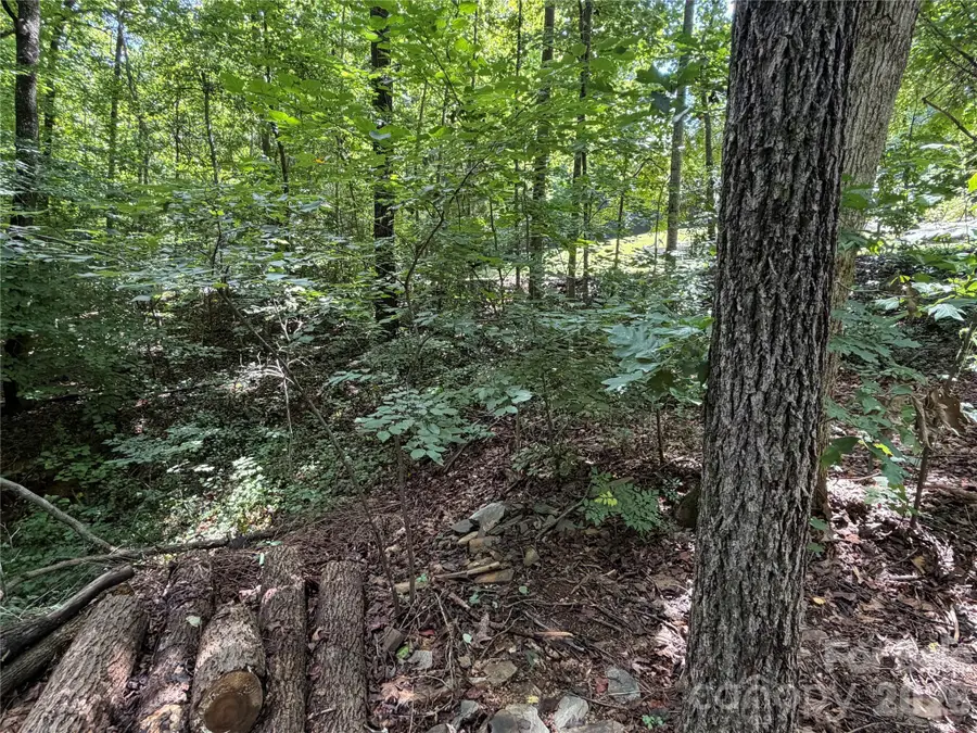 0 Beechtree Circle, Rutherfordton, NC 28139 - #3